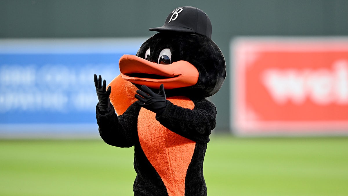 Orioles mascot on field
