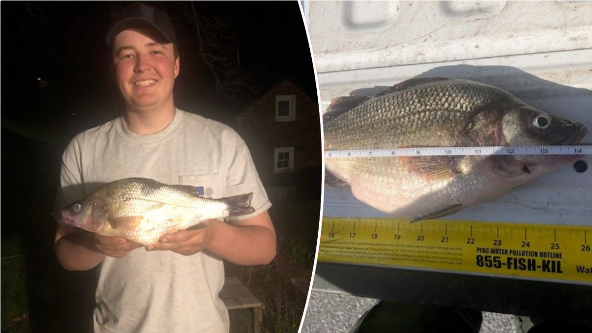 Split image of teen holding perch and perch laying down