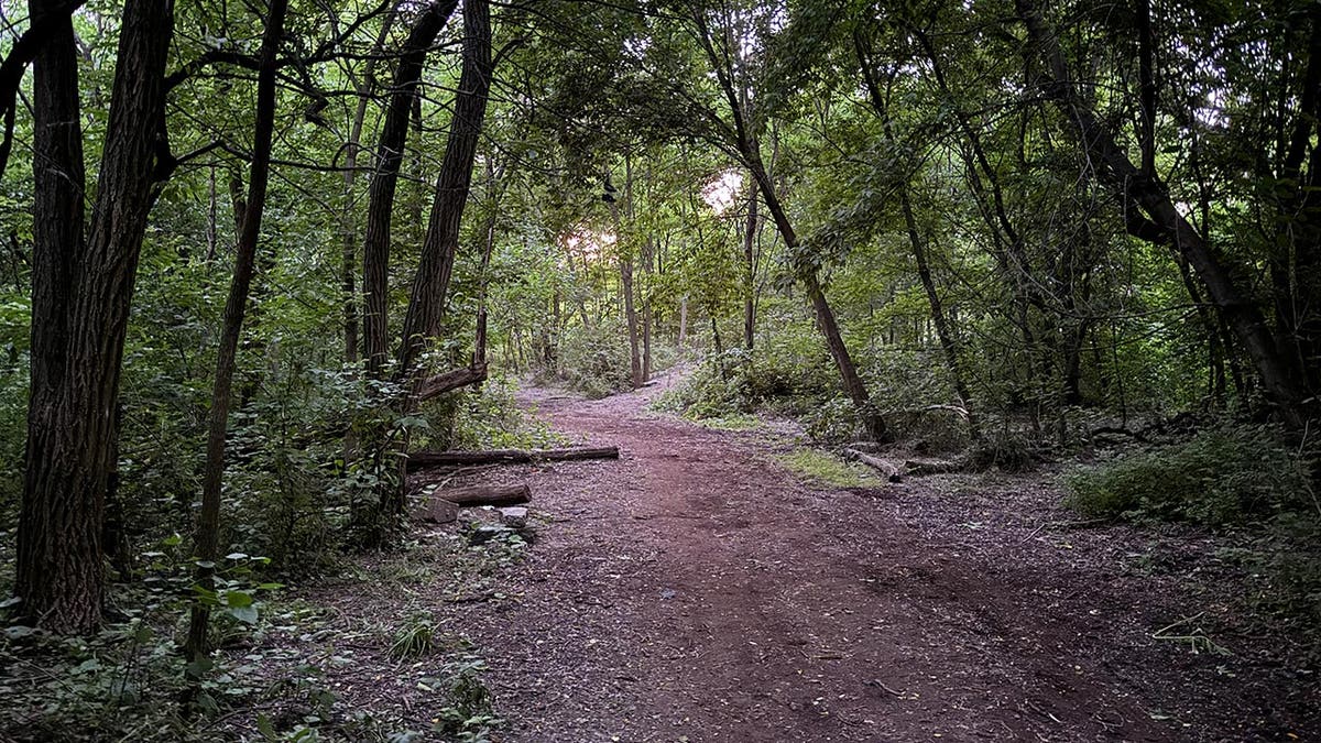 General view of the trail in the park