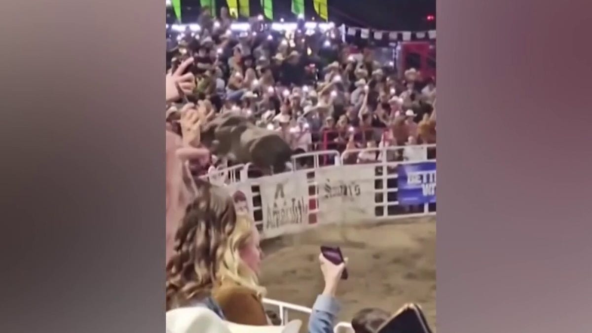 Bull leaps fence at Sisters Rodeo, injuring four spectators