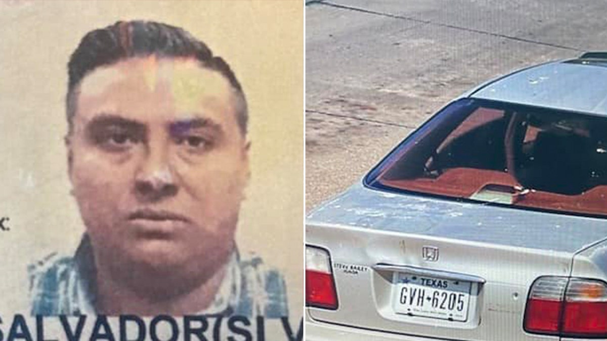 Split image of mugshot and car license