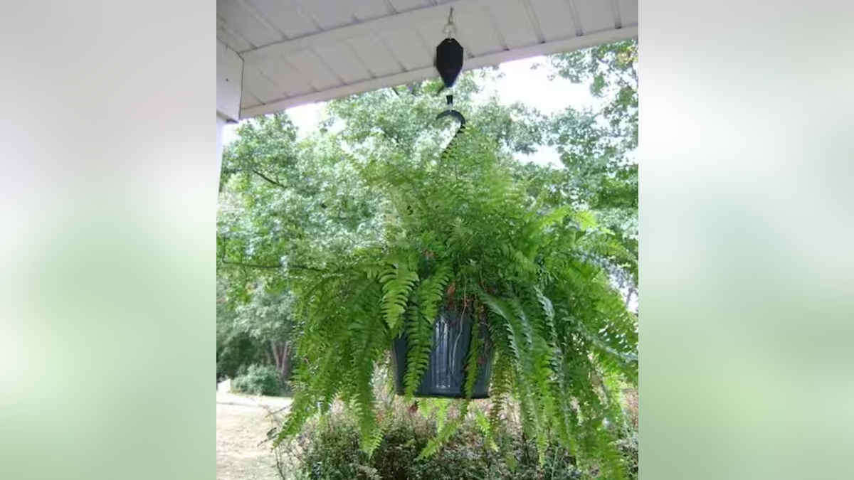 Make watering your hanging plants easier.?