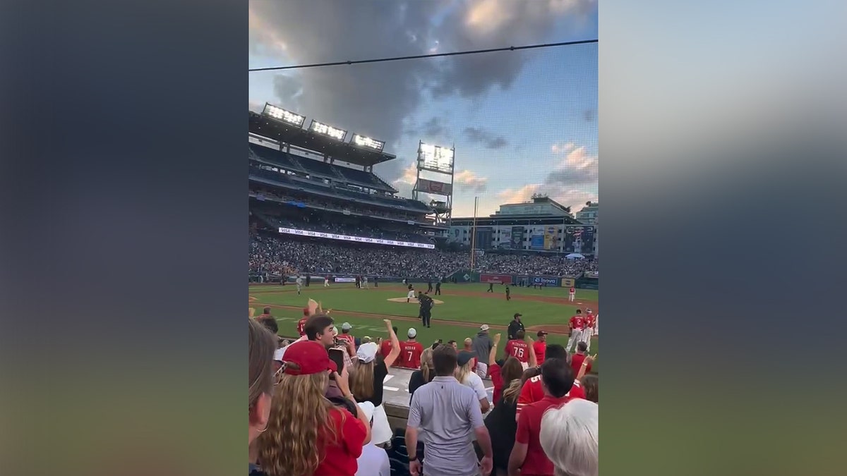 Protesters on the field during the Congressional baseball game.