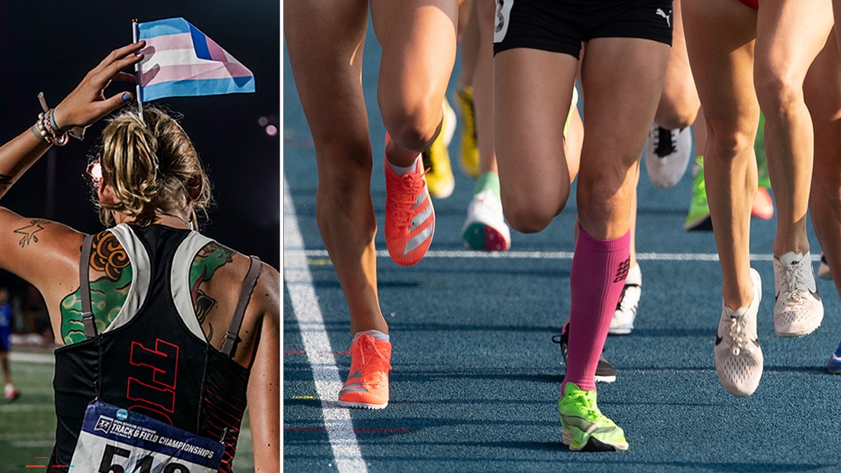Um atleta transgênero colocado ao lado de uma foto de meninas correndo