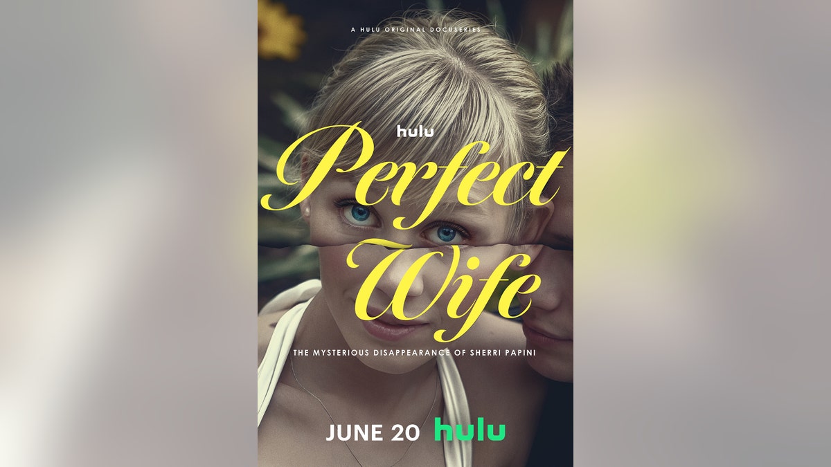 The Perfect Wife poster