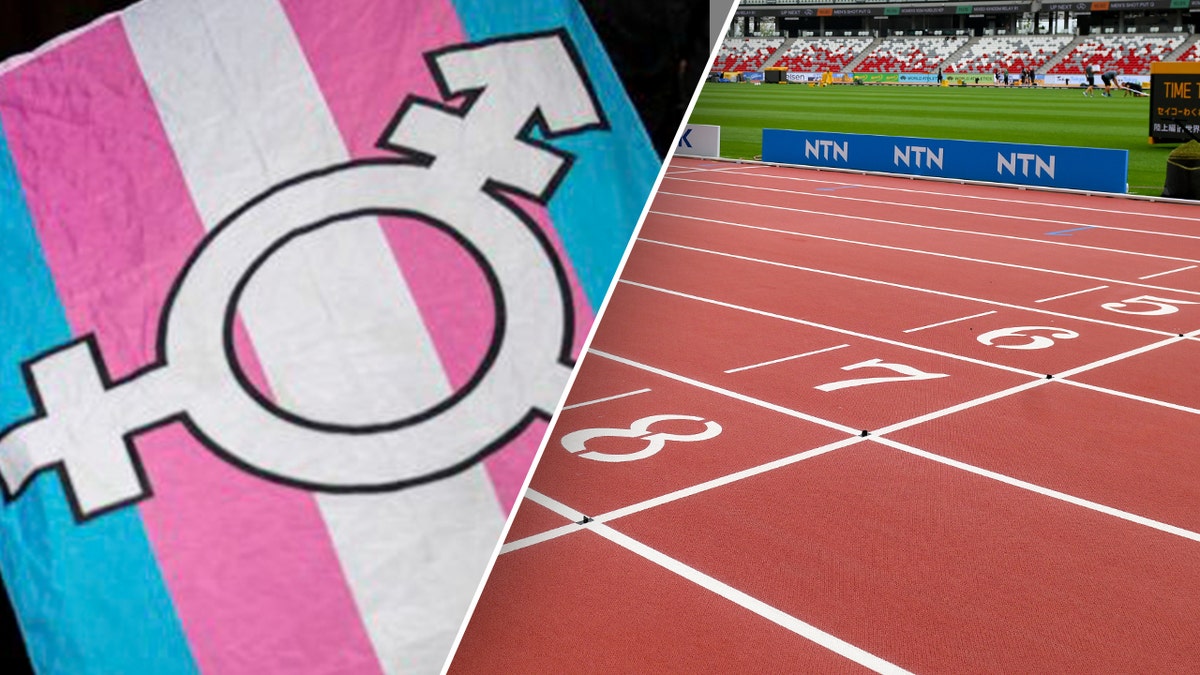 Trans flag and track and field split image