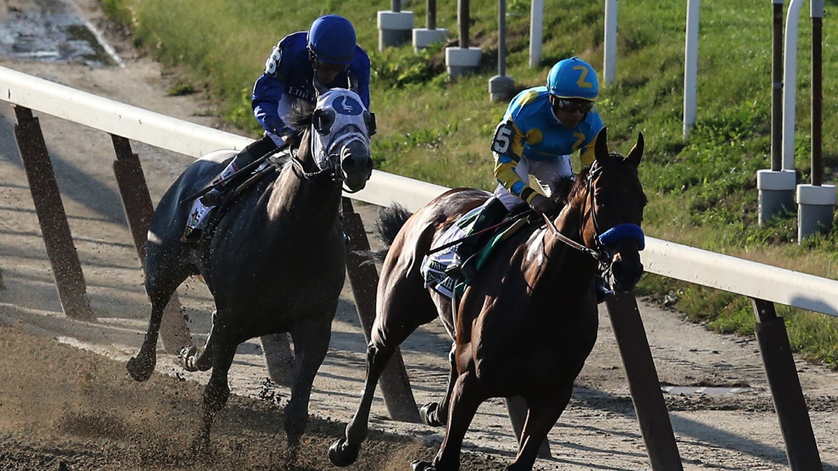 American Pharoah in the Belmont Stakes
