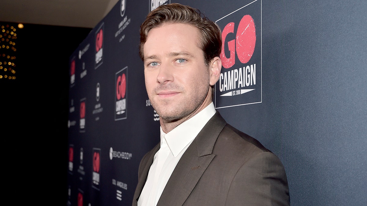 Armie hammer in a brown/gray suit on the carpet looks serious