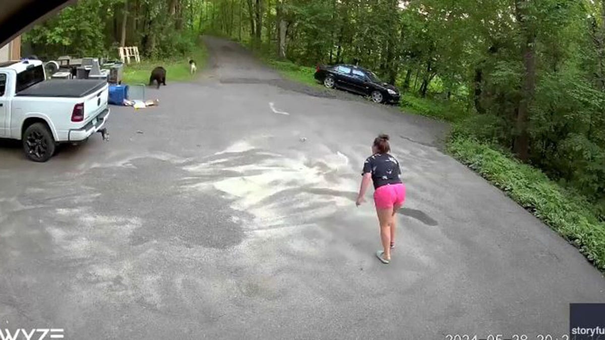Emocionante video muestra a un perro persiguiendo a un oso y luego a una mujer de Minnesota en el camino de entrada: «Se abalanzó sobre mí»