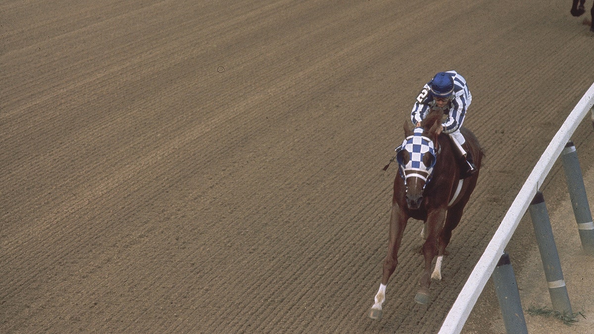 Secretariat at the Belmont Stakes
