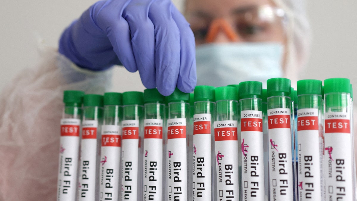 "Bird flu"-labeled test tubes