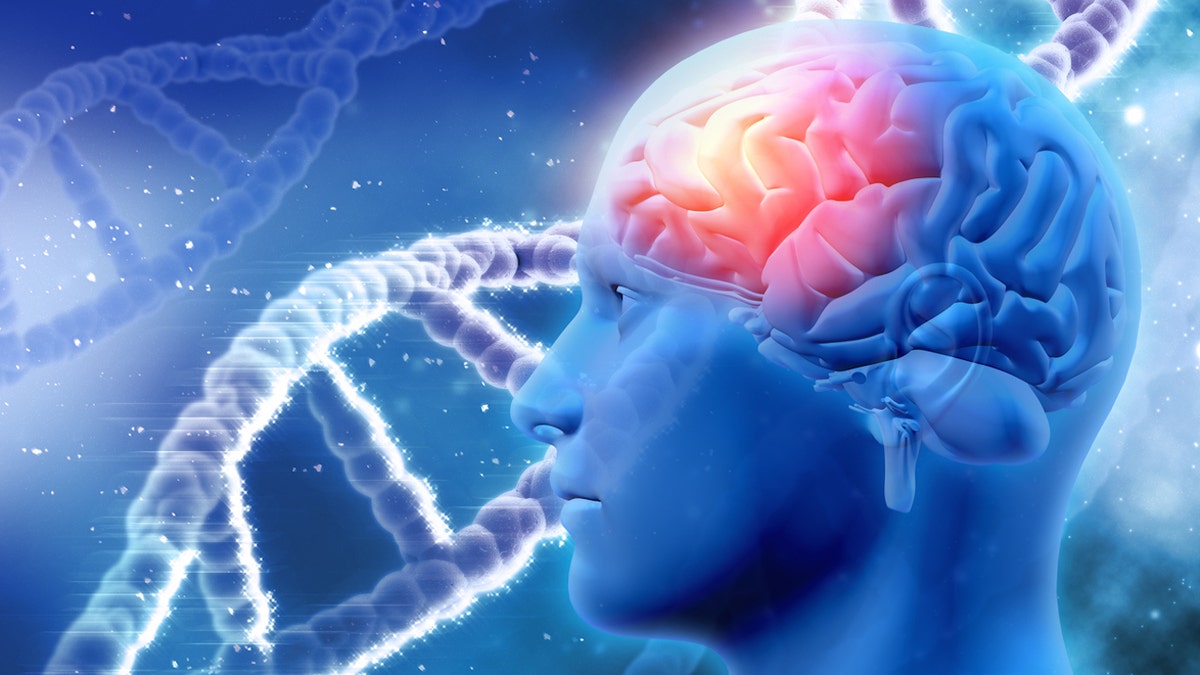 Brain DNA genetics