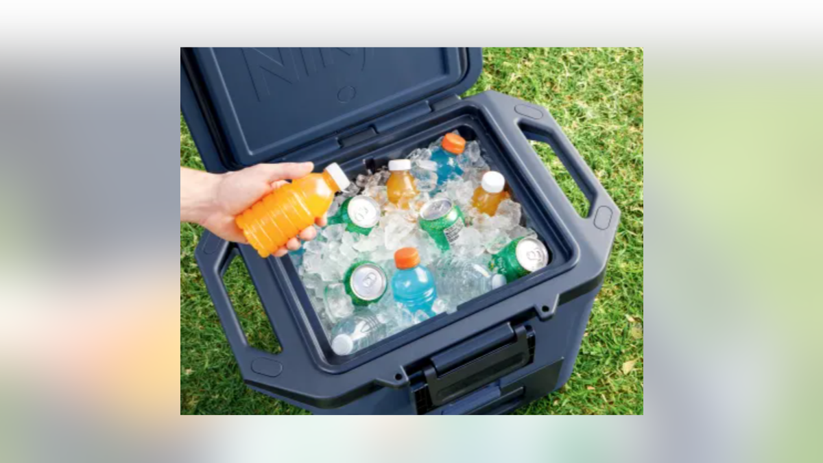 Make sure your drinks and food stays ice-cold your entire trip with a solid cooler. 