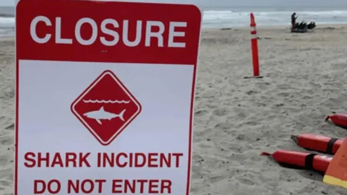 Beach closure sign