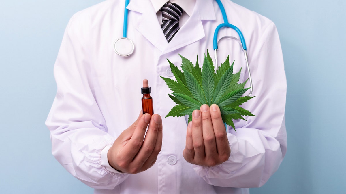 Doc prescribing marijuana
