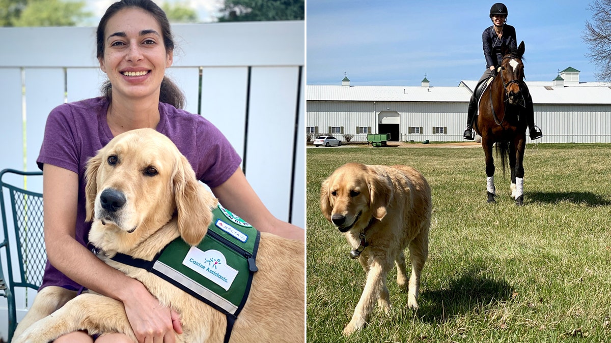 Epilepsy shops service dog