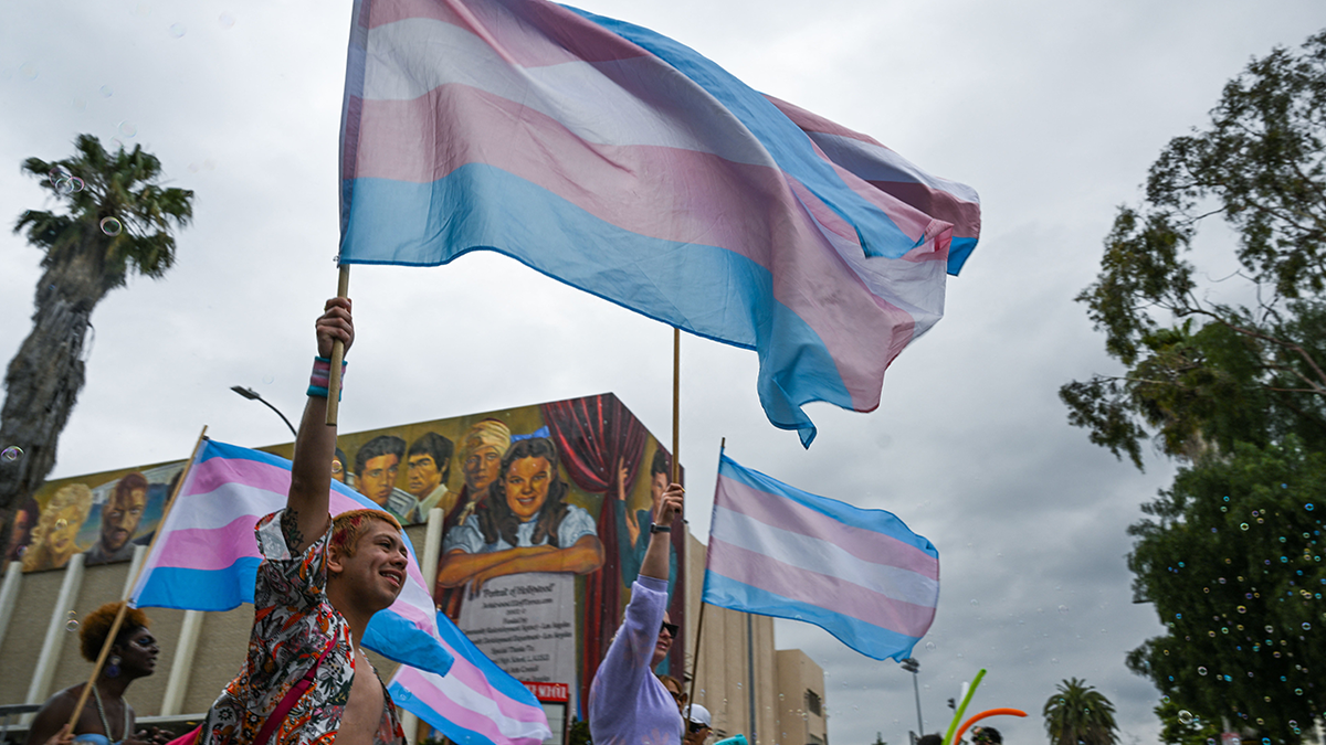 People wave a Transgender Pride flag as they attend the 2023 LA Pride Parade on June 11, 2023 in Hollywood, California. The LA Pride Parade marks the last day of the three-day Los Angeles celebration of lesbian, gay, bisexual, transgender, and queer (LGBTQ) social and self-acceptance, achievements, legal rights, and pride. (Photo by Robyn Beck / AFP) (Photo by ROBYN BECK/AFP via Getty Images)
