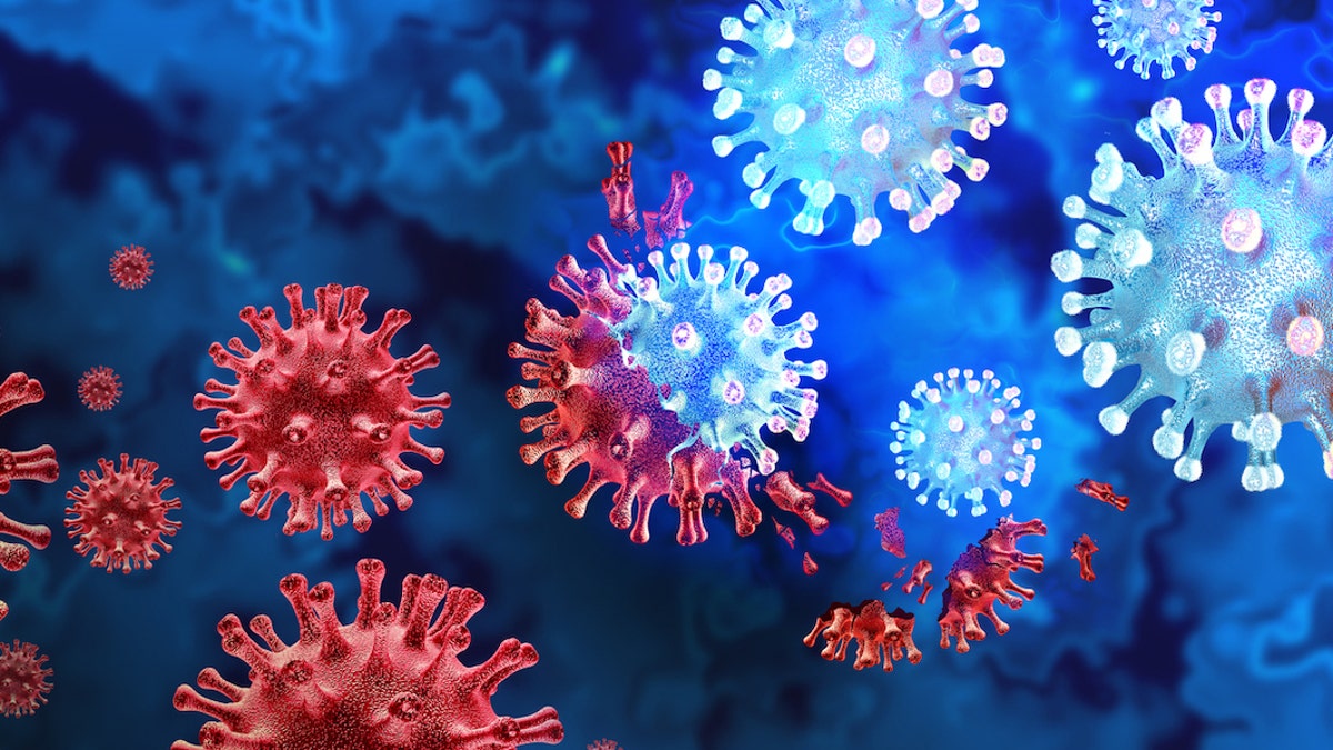 COVID and flu viruses