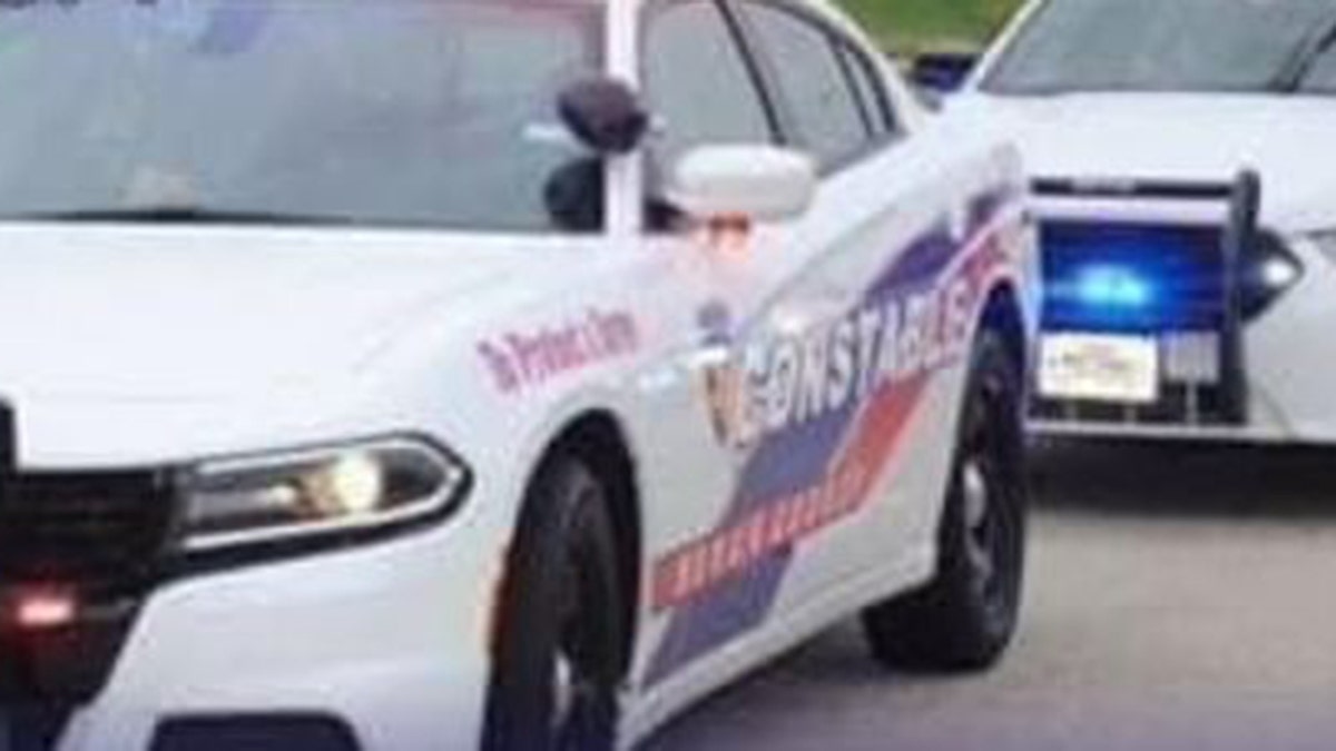 A deputy constable in Texas was "ambushed" and shot by a robbery suspect following a police pursuit in Harris County on Friday, Mark Herman, Harris County Constable for precinct 4 confirmed.