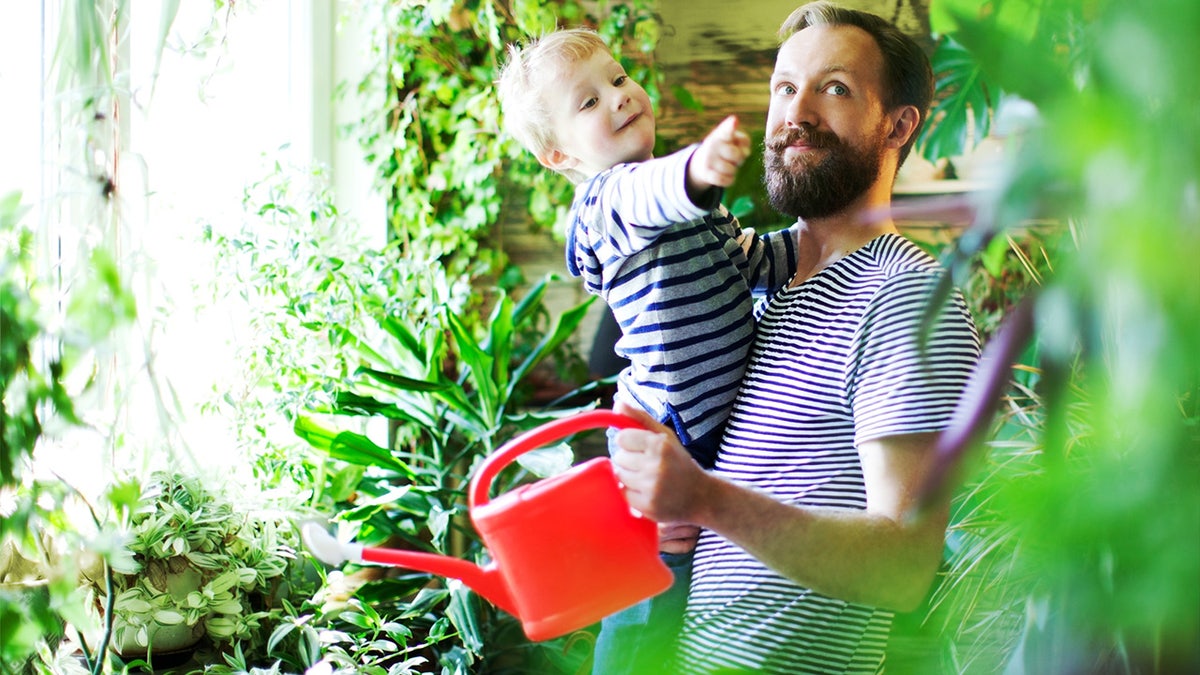 Transform your sunroom into a plant paradise.?