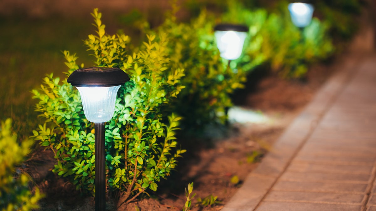 Create a bright backyard with well-placed solar lights.