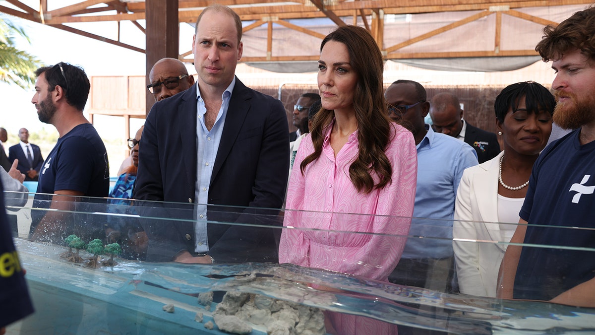 Kate Middleton and Prince William launched the Earthshot Prize in 2020.