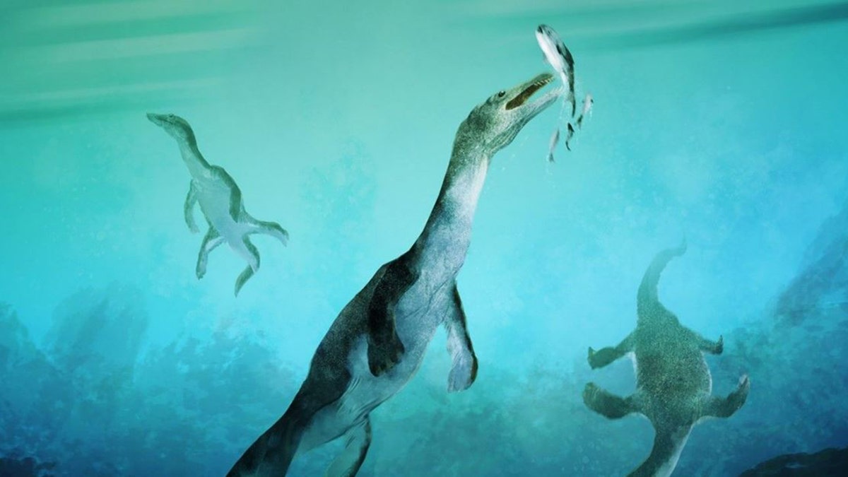 Representación artística de un notosaurio.
