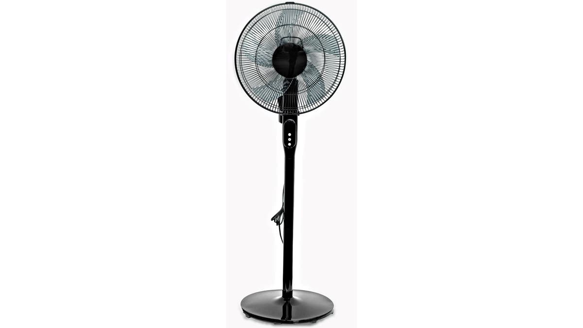 For a silent pedestal fan option try the Pelonis.