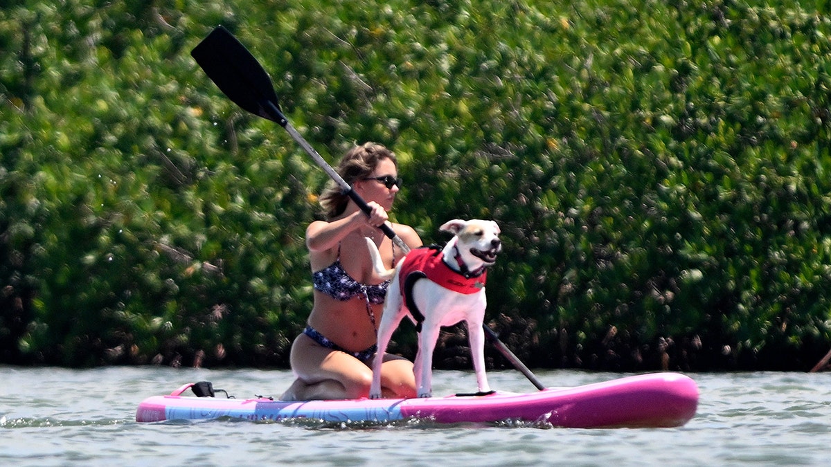 Sweeney y su perro dieron juntos un paseo en la tabla de paddle surf.