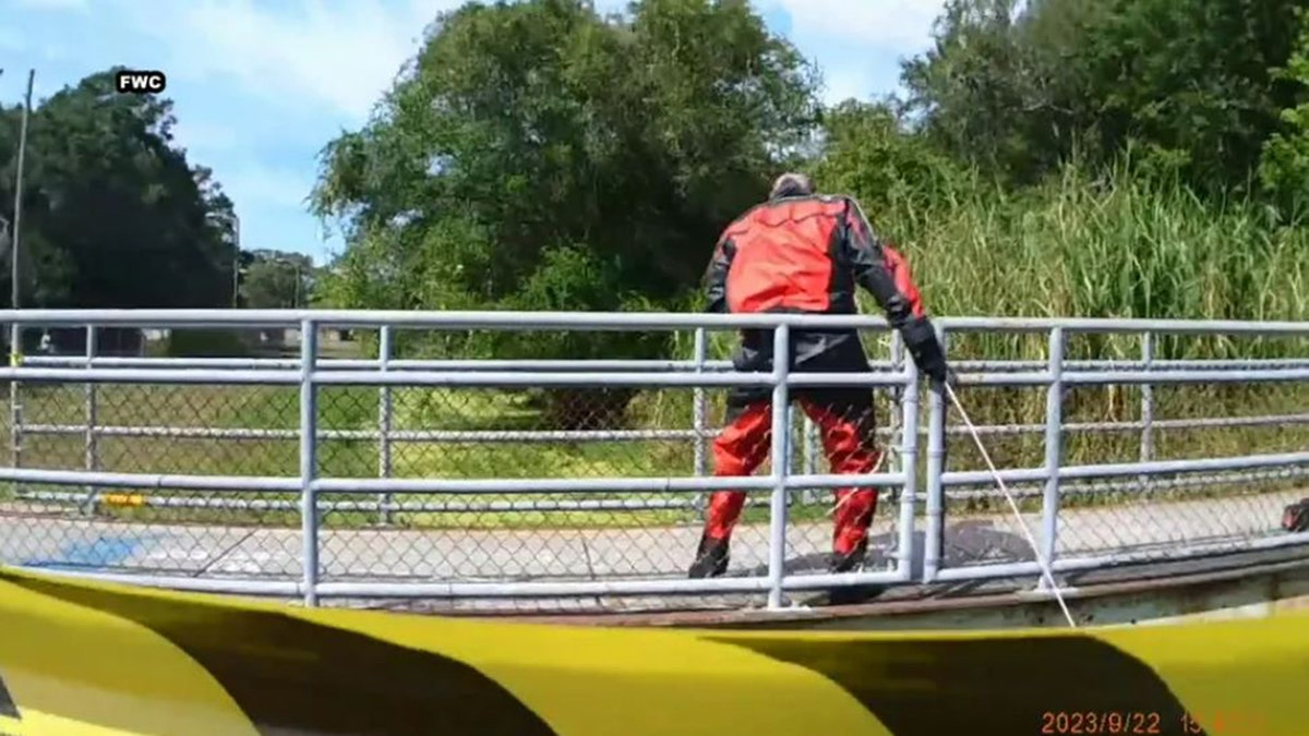An official trying to get the gator out of the canal