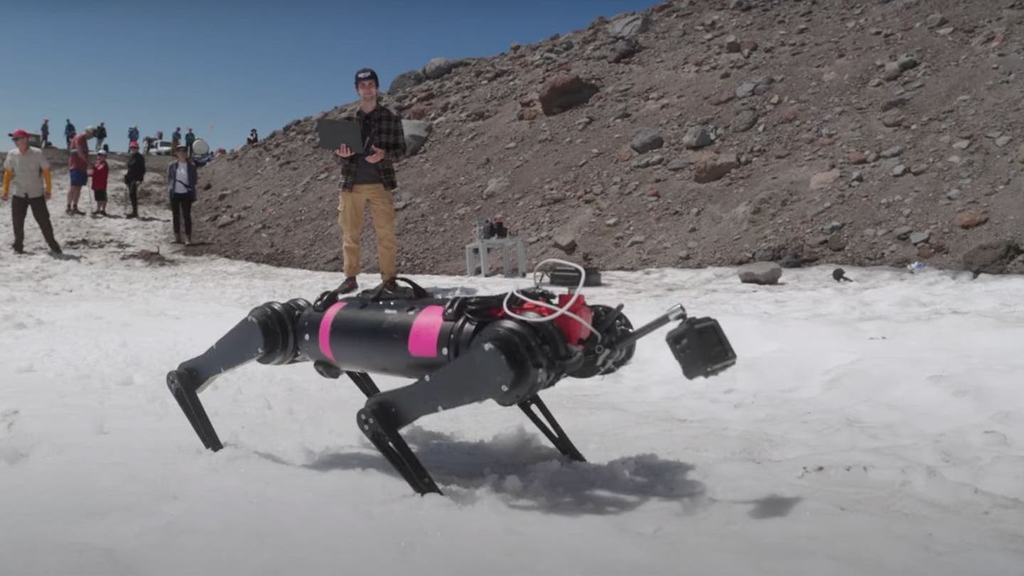 5 Robotic canines gear up for rescue moon mission as part of LASSIE project