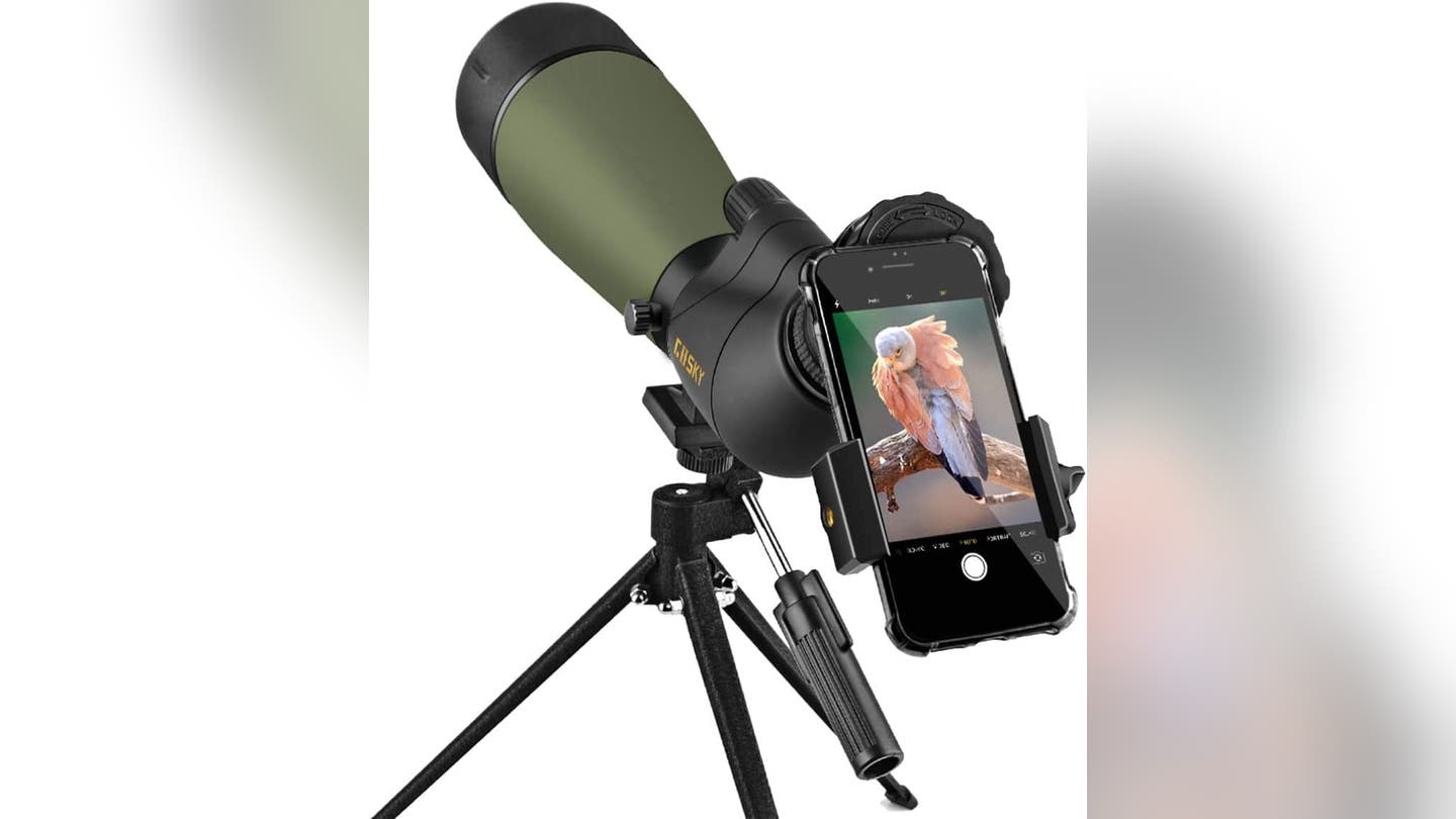 Essential Gear for Identifying and Enjoying the Beauty of Birds