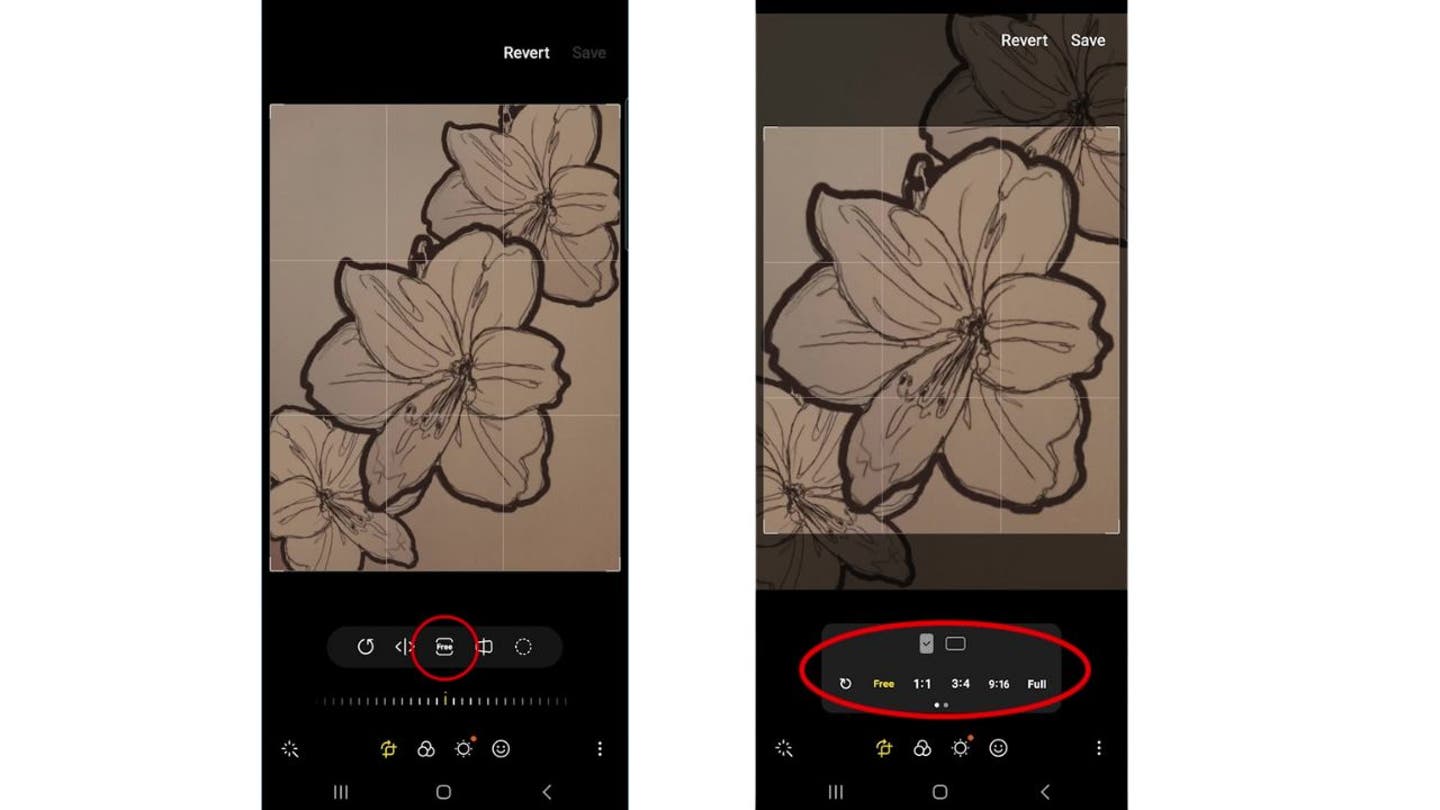 6 How to crop or rotate a photo on your Android