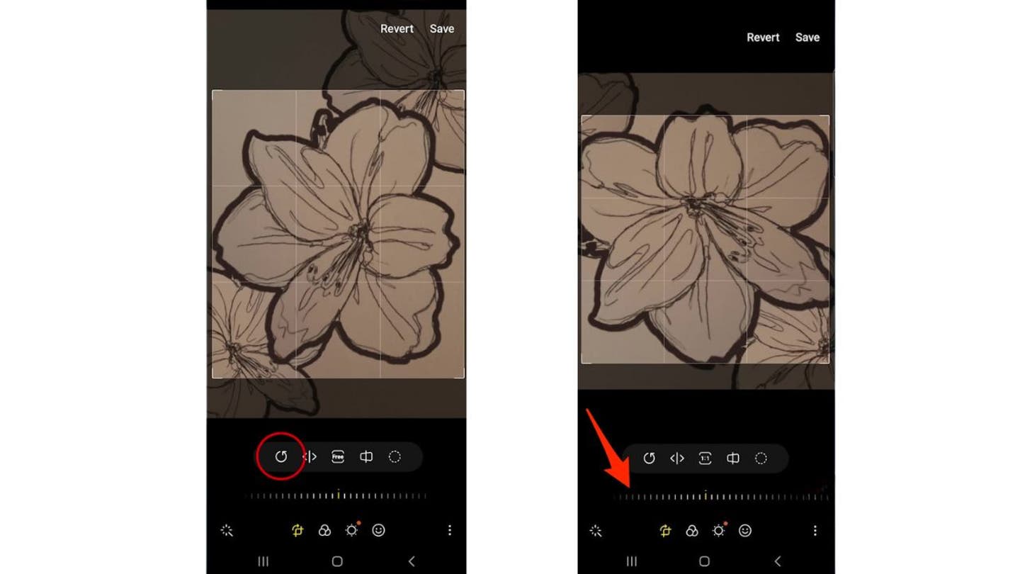 9 How to crop or rotate a photo on your Android