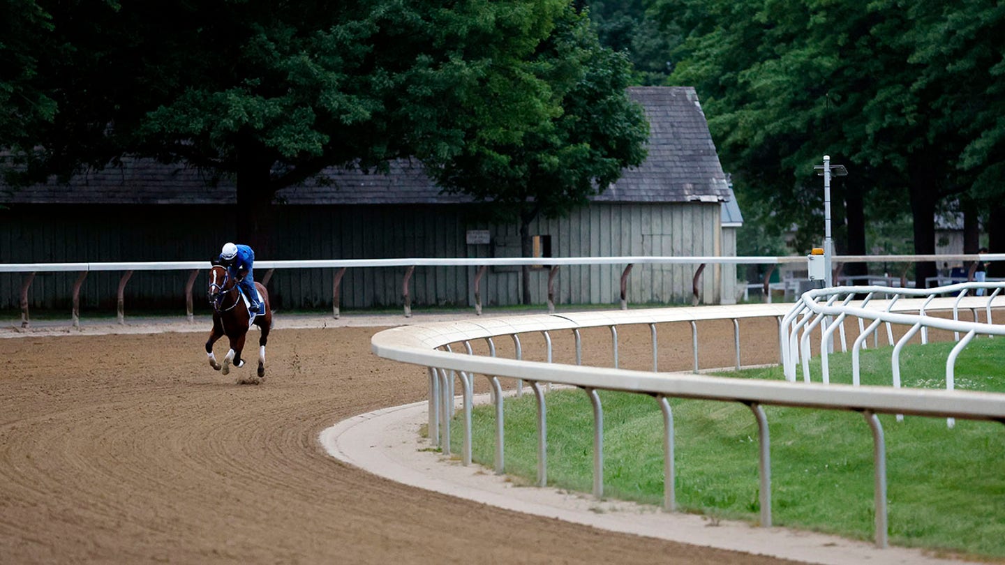 Belmont Stakes 2024: Seize the Grey and Mystik Dan Head the Odds