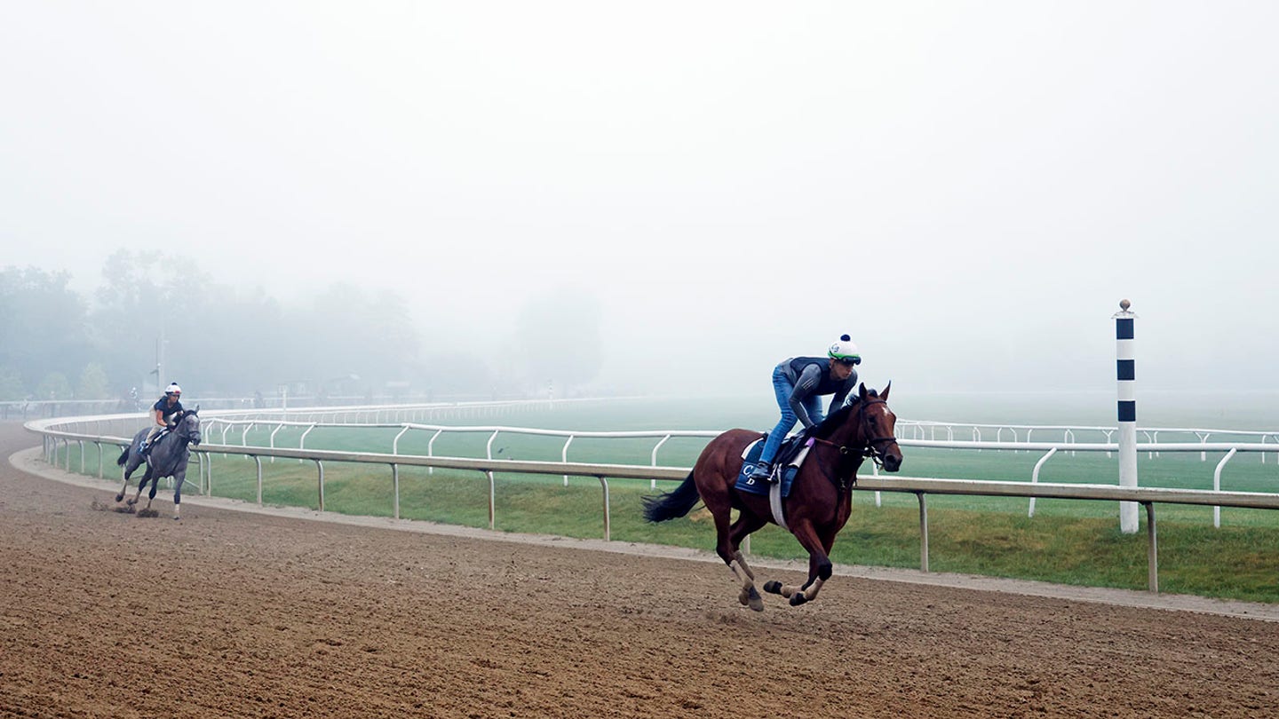 Belmont Stakes 2024: Seize the Grey and Mystik Dan Head the Odds