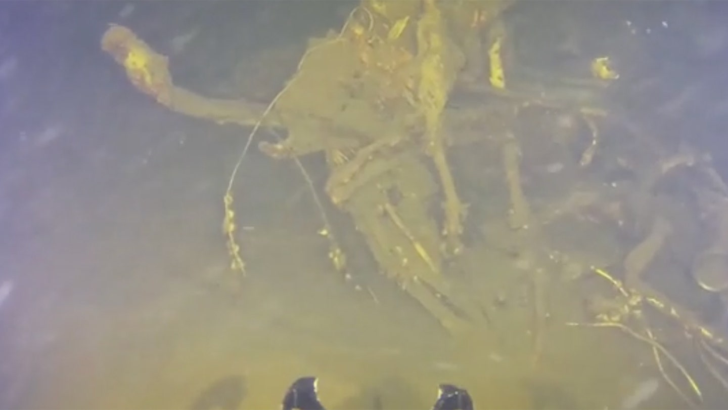 Underwater Discovery Reveals Wreckage of 1971 Corporate Plane Crash in Lake Champlain