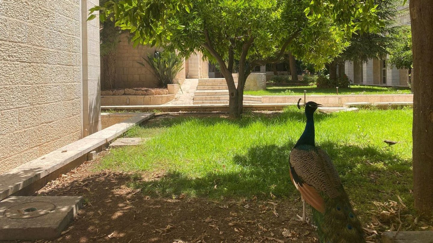 The Order of Malta's Holy Family Hospital: A Beacon of Hope in Bethlehem