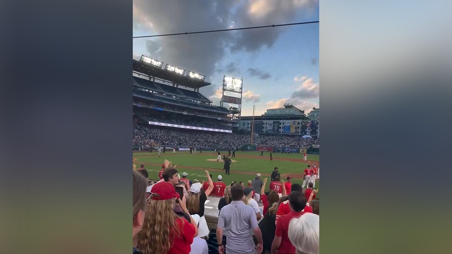 Climate Change Protesters Storm Field at Congressional Baseball Game