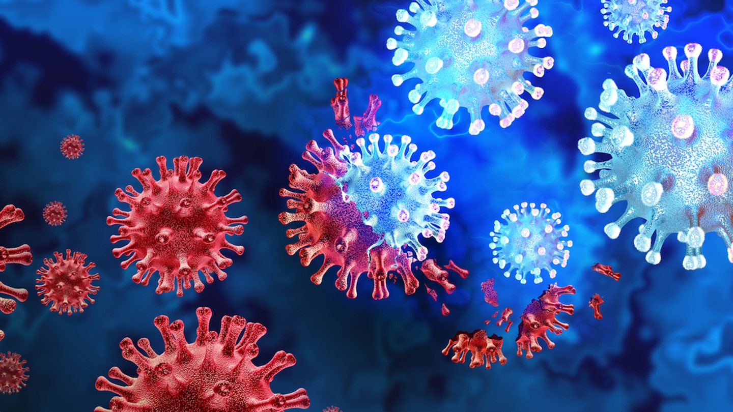 flu and covid viruses