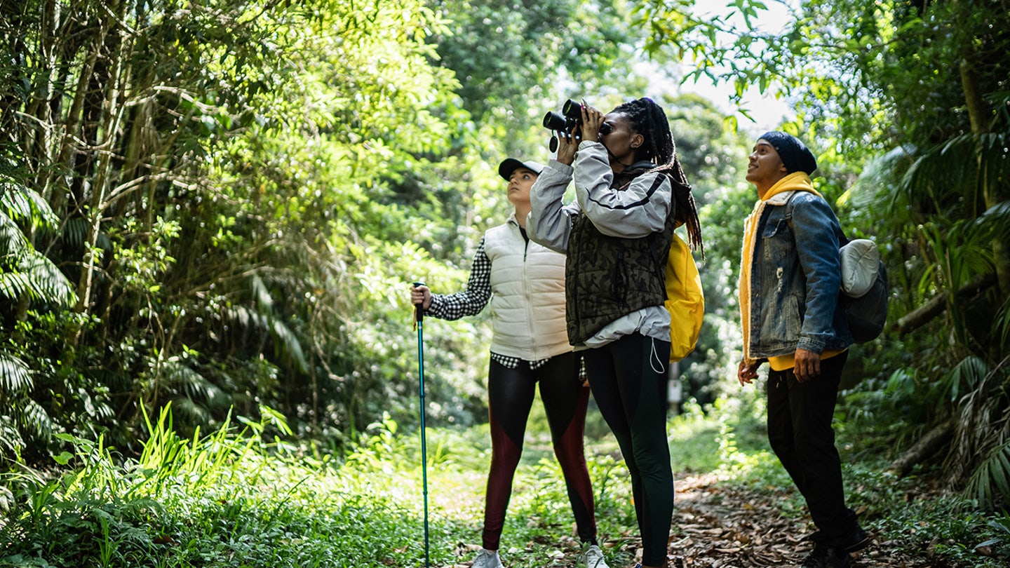 Essential Gear for Identifying and Enjoying the Beauty of Birds