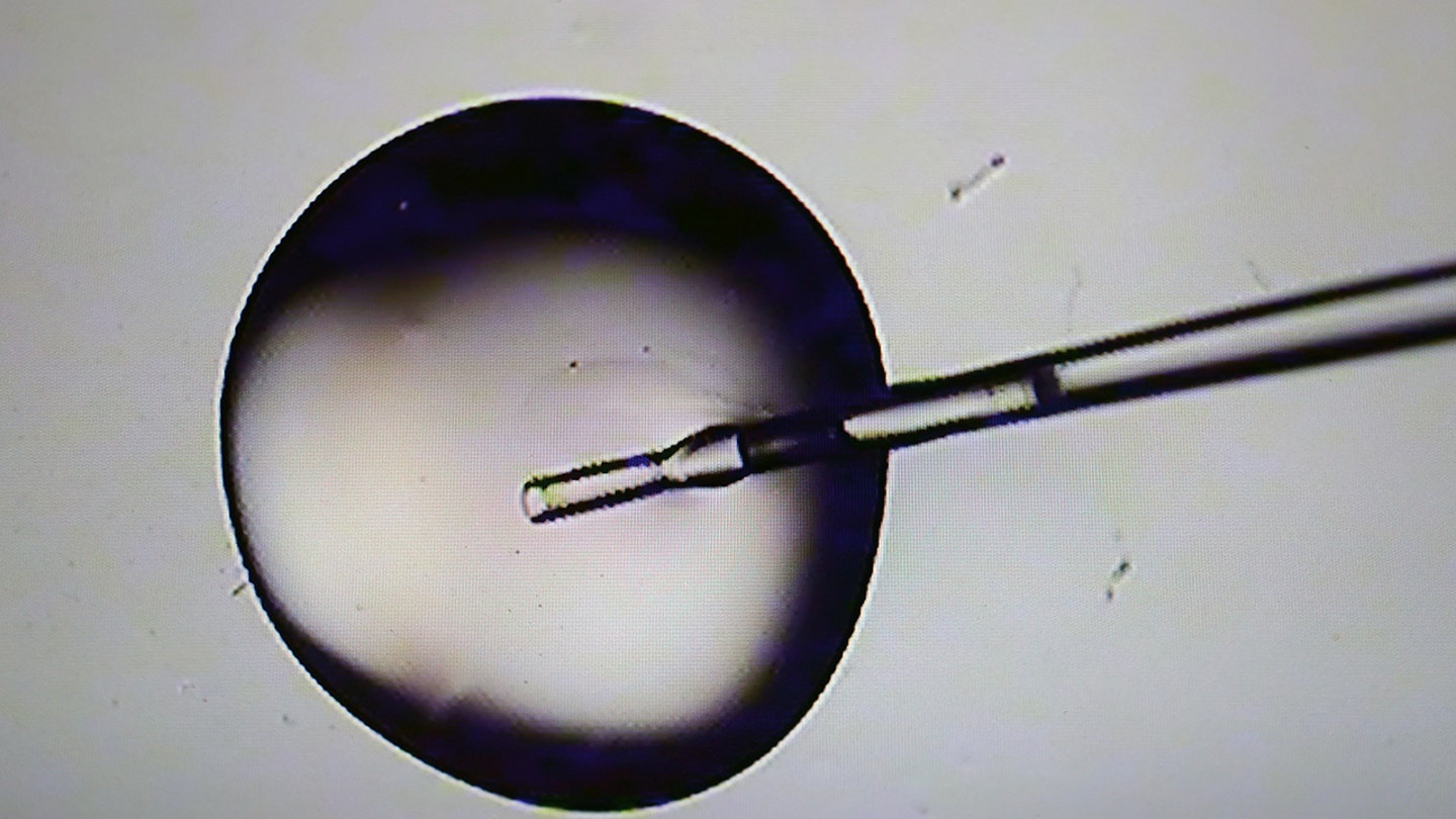 Republicans Block Democrat-Backed IVF Bill, Despite Trump's Support