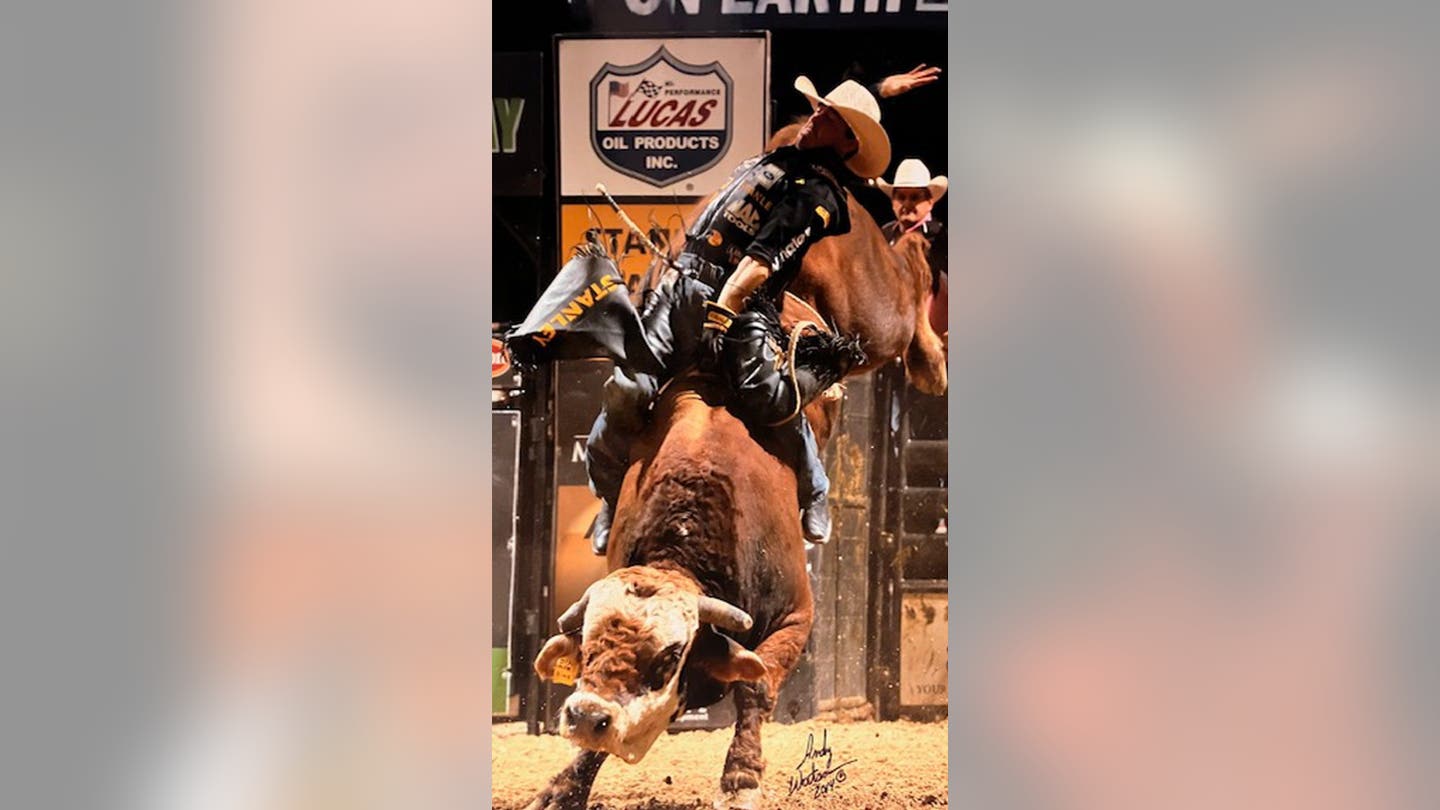 The Evolving Face of Bull Riding: Team Sport Takes Center Stage