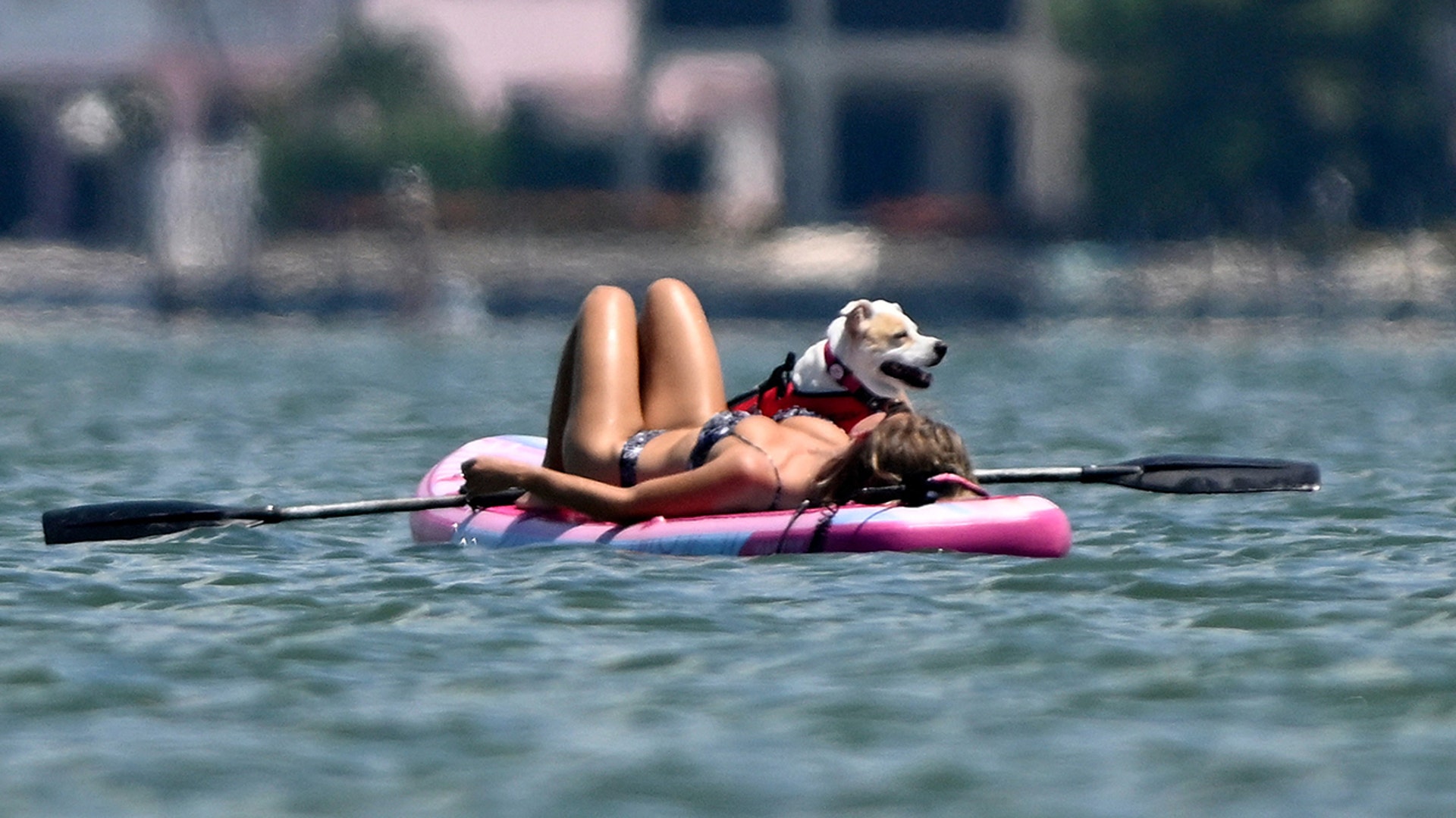 Sweeney gave her dog some love, as they both lounged on the paddleboard.