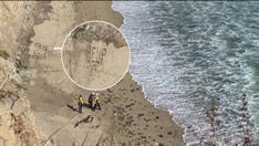 Kite surfer uses rocks to spell out 'HELP' in sand to prompt rescue at California beach