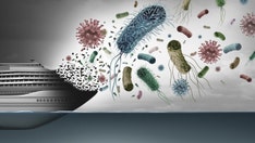 Amid surging cruise ship illnesses, experts share ways to stay safe on the high seas