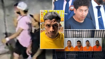 Illegals charged with murder, rape and kidnapping in a week of shocking crimes across the US