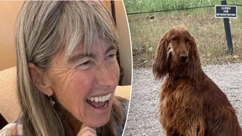 Colorado rescue crews race to find missing hiker, dog near Aspen trail