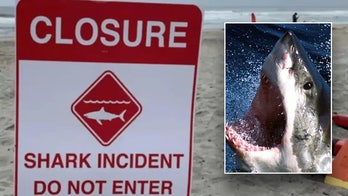 California man survives shark attack by reportedly punching predator 'inside its mouth'