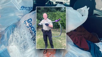 Goodwill employees got more than they bargained for after finding hidden 4-foot-long snake in book box